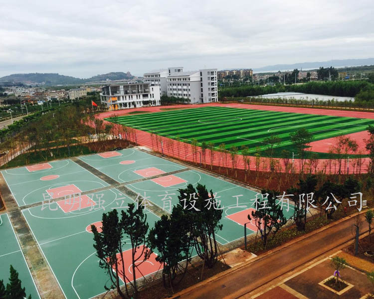 大漁中學(xué)運動(dòng)場(chǎng)建設項目